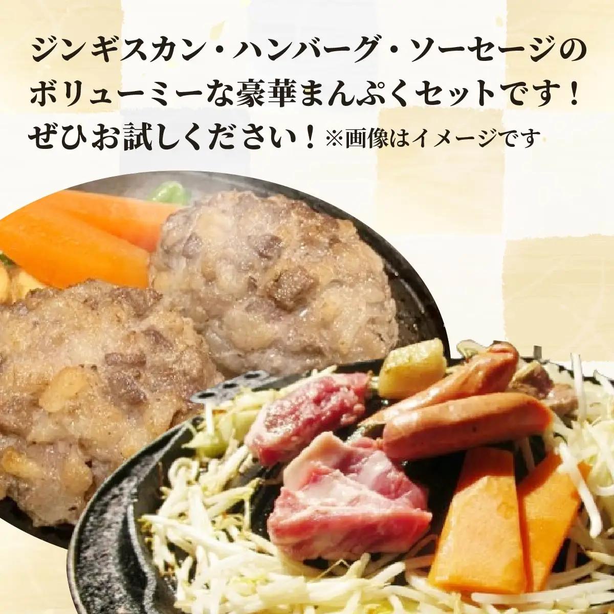 えぞ鹿肉セットB  SKF004 【 ふるさと納税 人気 おすすめ ランキング エゾシカ肉 えぞ鹿肉 蝦夷鹿肉 蝦夷シカ肉 えぞ鹿ジンギスカン えぞ鹿ソーセージ えぞ鹿ハンバーグ 北海道 鹿追町 送料
