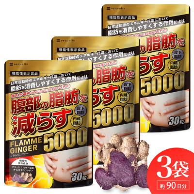 ふるさと納税 静岡市 お腹の脂肪を減らす ブラックジンジャーサプリメント フラムジンジャー 機能性表示食品 3袋約3ヶ月分