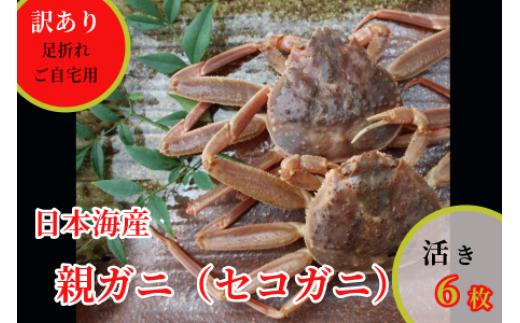
                  【活き】訳あり足折れご自宅用　日本海産親ガニ（セコガ二）6枚 【※配送日時指定可】　[241-WK17]
                