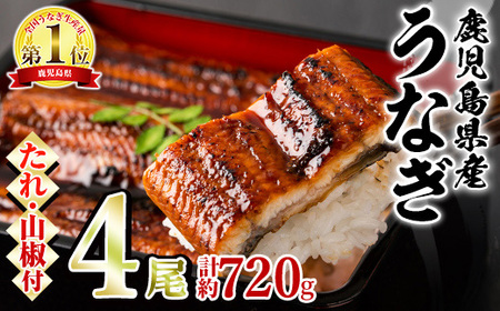 東串良町 うなぎ 蒲焼 (無頭)(4尾・計約720g・タレ、山椒付) 高級 ウナギ 鰻 国産 たれ 鹿児島 ふるさと 人気【アクアおおすみ】【27034】