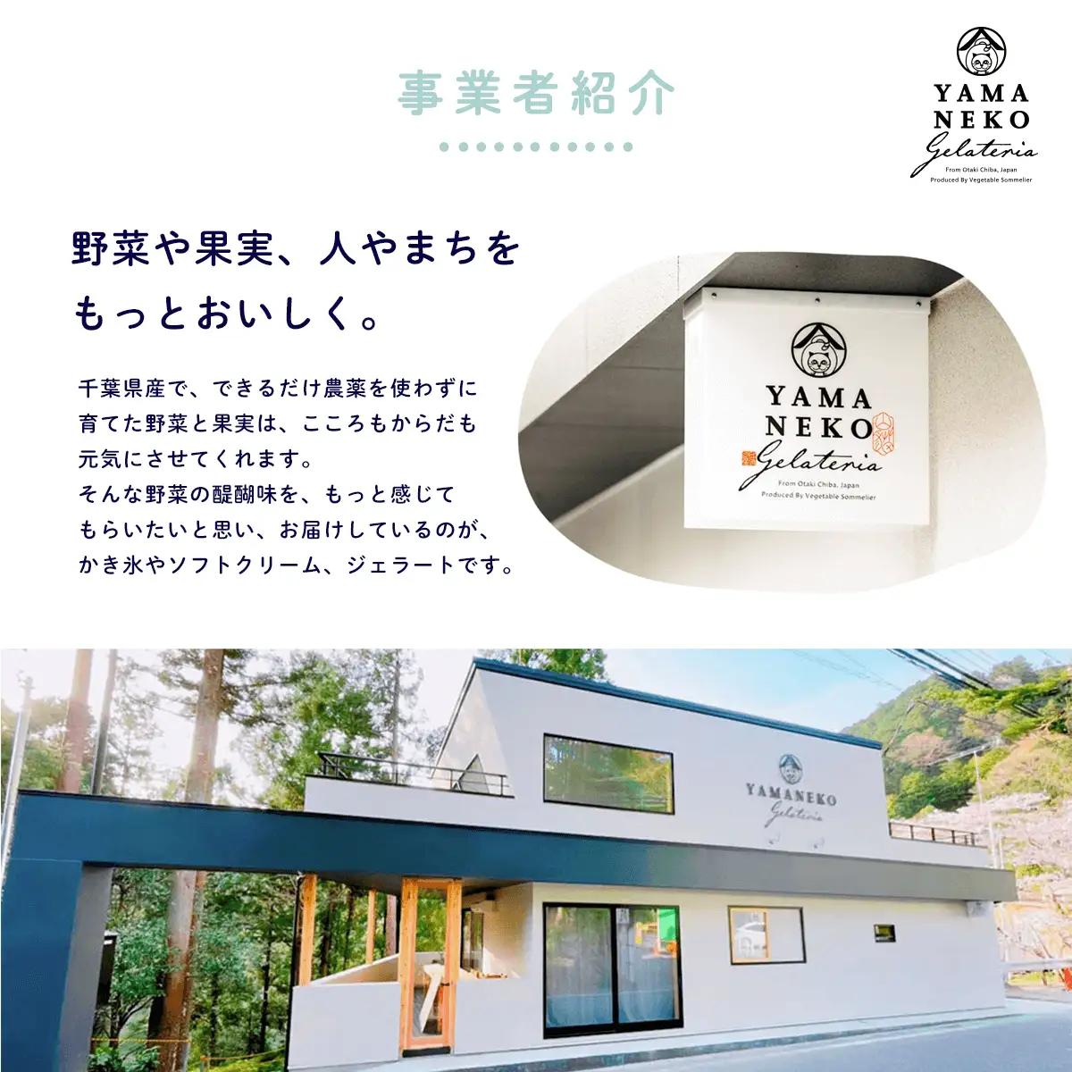 W01031 野菜ソムリエのイタリアンジェラート専門店＜山猫ソフトクリーム＞６個セット