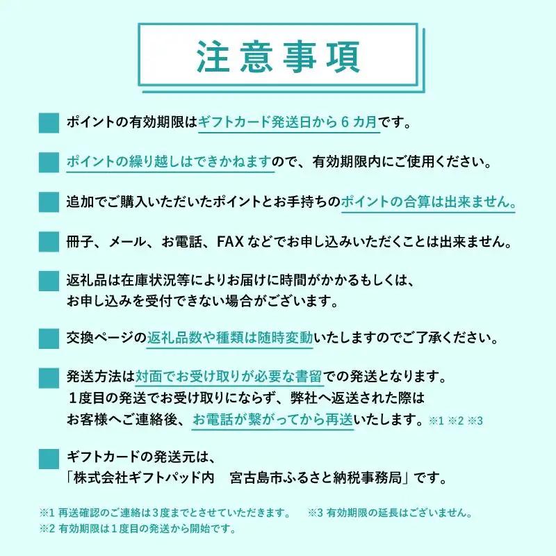 あとから選べるWEBカタログギフト（寄附100万円コース）300000ポイント宮古島市（JO005）