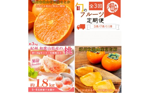 
            【全3回】紀州和歌山産旬のフルーツセット(せとか・桃・富有柿)  / 果物定期便 フルーツ定期便 セトカ 柑橘 くだもの 果物 カキ かき 柿 もも モモ 桃 【tkb392】
          