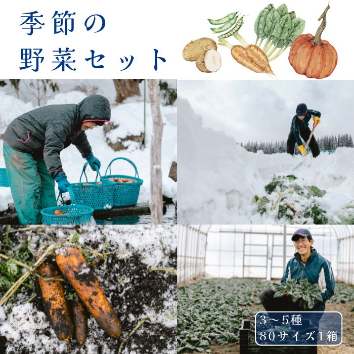 【ふるさと納税】季節の野菜セット（3～5種）季節・数量限定｜寒じめほうれん草、雪中にんじんといった雪まち野菜など、雪国ならではのお野菜を、その時一番美味しい旬のものを厳選しお届けします。1月下旬から2月上旬発送予定　道の駅しなの【長野県信濃町】