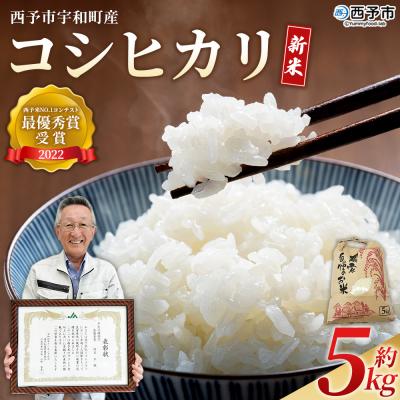 ふるさと納税 西予市 &lt;新米 令和7年産 西予市宇和町産 コシヒカリ 約5kg&gt; お米 コメ こめ 白米