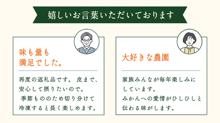 [1〜2月発送] オーガニック圓妙寺ネーブル 約4kg 国産 有機JAS認証 瀬戸内 広島 大崎上島 離島 有機栽培 柑橘 果物 オーガニック フルーツ ギフト 防腐剤不使用 ワックス不使用 無添加 
