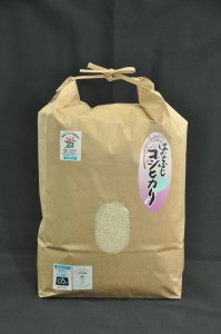 令和7年産 大津産コシヒカリ「はなふじ」 精米 5kg 米 [AZ001]