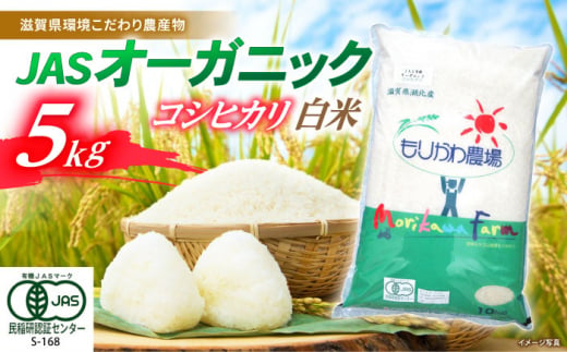 【令和6年産】滋賀県産 JASオーガニック コシヒカリ 白米 5kg 　滋賀県長浜市/有限会社もりかわ農場 [AQBL009] 米 お米 白米  5kg  米 お米 ご飯 ごはん ゴハン