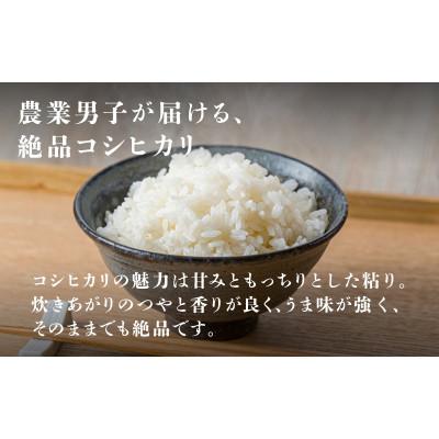 ふるさと納税 鯖江市 《2025年11月以降 順次発送予定》令和7年産　コシヒカリ　計10kg(5kg×2袋) |  | 01