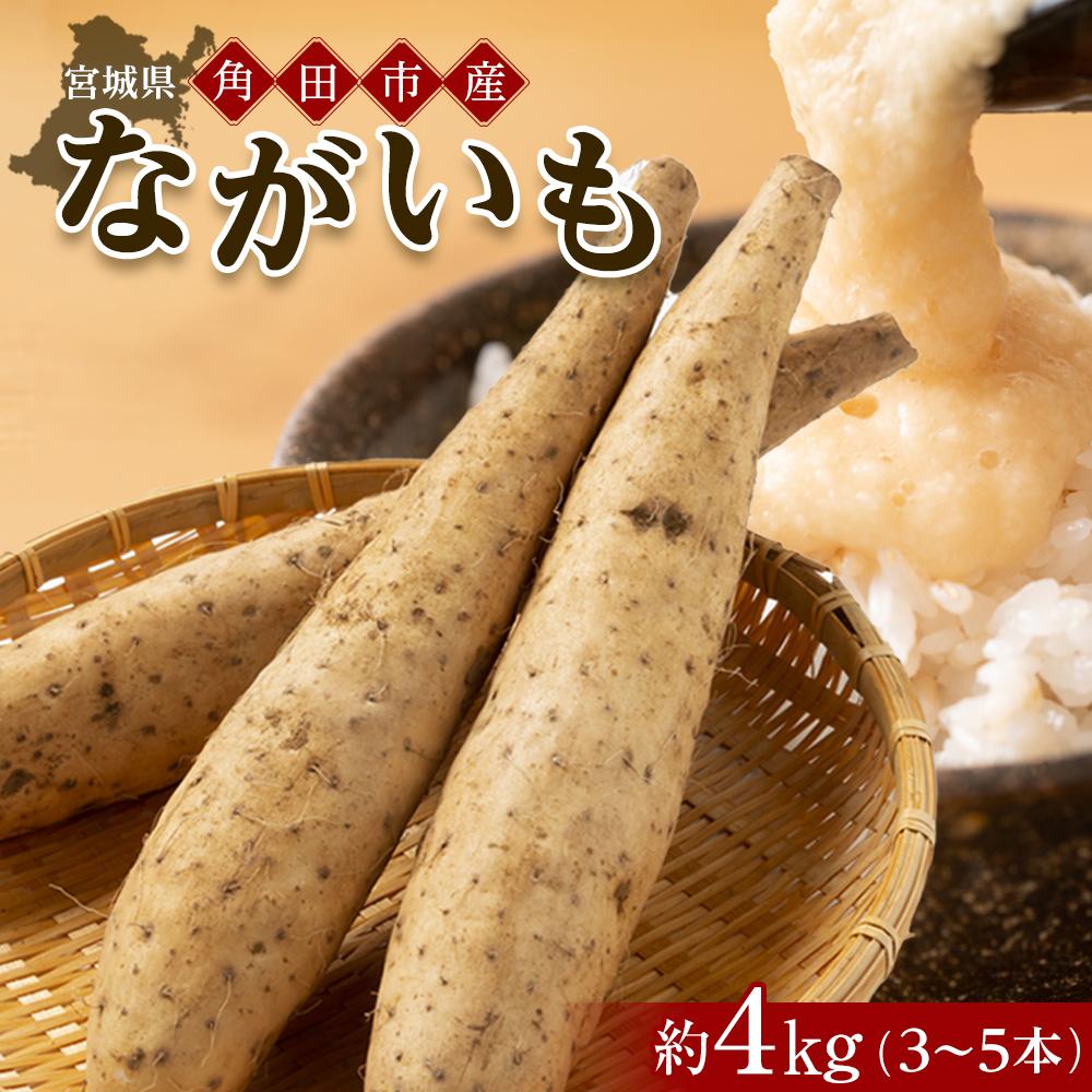 【ふるさと納税】【先行予約】宮城県角田市産ながいも約4kg（3～5本）【2025年11月下旬～順次発送】 | 野菜 やさい 食品 人気 おすすめ 送料無料