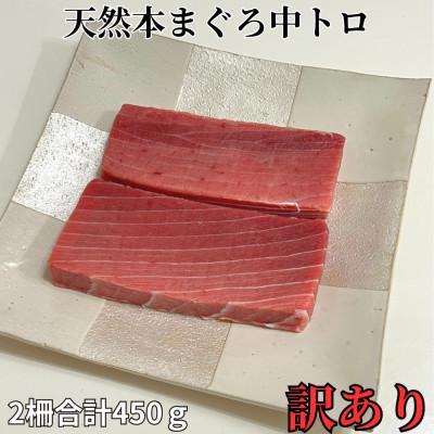 ふるさと納税 三浦市 天然本鮪　中トロサク　アイルランド産(訳アリ)2柵