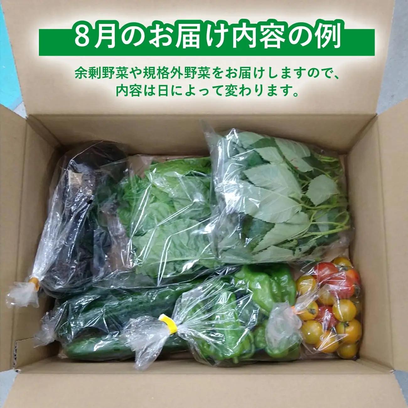 訳あり ご家庭用野菜 5種類程度【準備ができ次第配送】