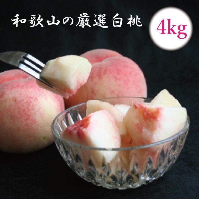 ＜7月発送＞和歌山の厳選白桃 約4kg［白鳳・清水白桃・川中島・もも・はくとう］［化粧箱入り］［IKE18］