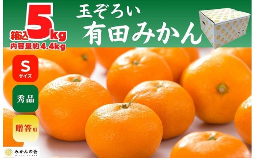 
                  みかん Sサイズ 秀品 箱込 5kg (内容量約 4.4kg) 有田みかん 和歌山県産 産地直送 贈答用 ［みかんの会］
                