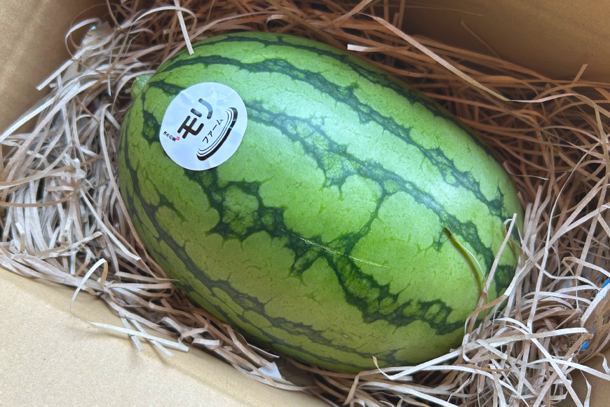 AJ460 【令和8年度出荷分】 湧水の里 モリファーム 小玉スイカ うり坊 3L 4kg 1玉 [ 先行予約 数量限定 小玉 うり坊 スイカ 西瓜 フルーツ 果物 長崎 長崎県 島原市 ]_イメージ