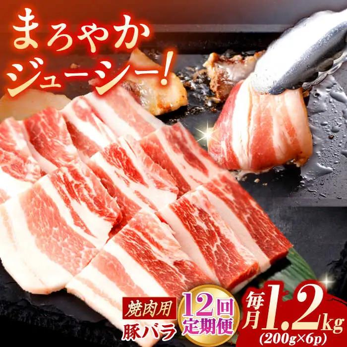 【定期便】 焼肉用 豚バラ肉 総計14.4kg NAC606 豚肉 焼肉 全12回