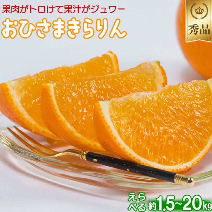 【ふるさと納税】今村農園のおひさまきらりん 約1.5〜20kg【秀品】 先行予約 果物 フルーツ＜107-705_7＞