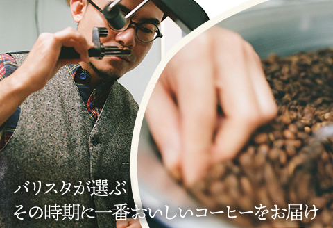 《粉》バリスタおすすめのコーヒー 250g×2種類 計500g