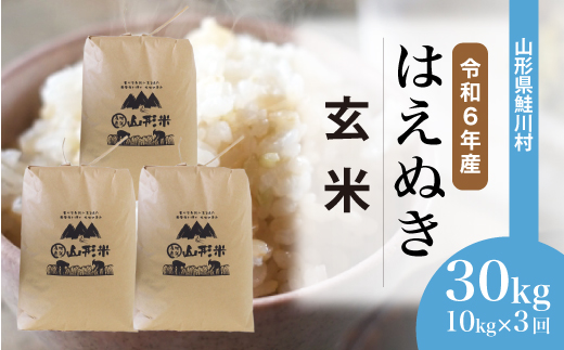 ＜令和6年産米＞ 山形県産 はえぬき 【玄米】30kg 定期便 (10kg×3回) 　配送時期指定できます！