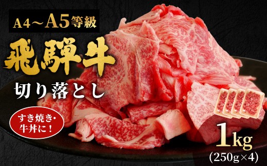 【9月発送】 飛騨牛 A4~A5等級 切り落とし 1kg 岐阜県産 A4 A5 すき焼き 牛丼 炒め物 おかず 肉じゃが カレー 黒毛和牛 牛肉 牛 国産 お取り寄せ ごちそう 自宅用 部位おまかせ 和牛 大容量 訳あり 小分け 最短発送 肉のひぐち