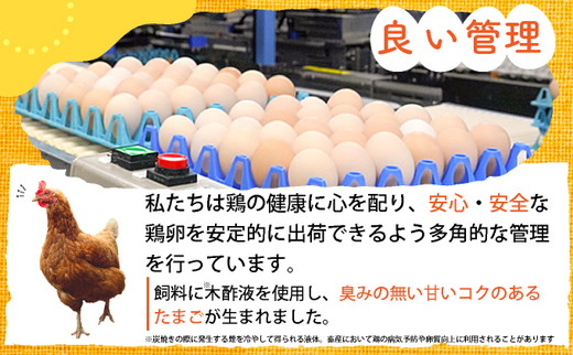 【12回定期便】新鮮 卵 120個（100個+卵割れ保証20個）(10個×12パック)京都丹波『霧の卵』三和鶏園 ≪たまご タマゴ 玉子 生卵 鶏卵 小分け 贈答 ギフト ふるさと納税 卵 直送 冷蔵