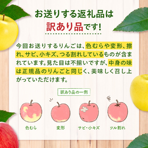 【2026年1月下旬発送】【訳あり】りんご 約5kg サンふじ & 金星セット 青森産