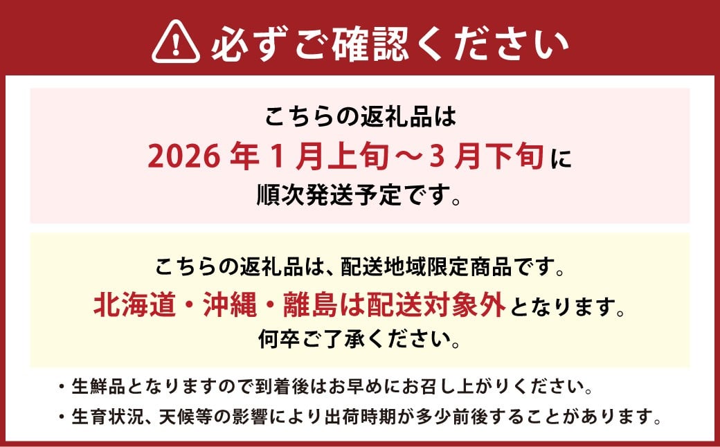 福岡県産 あまおう 1500g （250g×6パック） 苺 イチゴ いちご 大粒 果物 フルーツ 福岡 福岡県【2026年1月上旬～3月下旬発送予定】