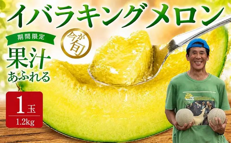 【2027年発送】イバラキングメロン（青肉） 1玉入 青肉品種 鉾田メロン！ ／ イバラキング 果物 フルーツ ギフト 農家直送 kbn007_X1