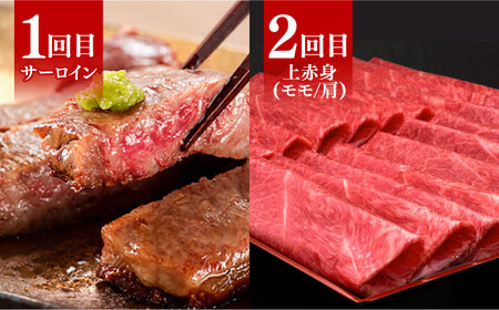 【全6回定期便】博多和牛 贅沢 食べ比べ 4人前 ( ステーキ すき焼き しゃぶしゃぶ ハンバーグ ) 《築上町》【久田精肉店】[ABCL158] 肉 和牛 牛 精肉 サーロインステーキ ヒレステーキ