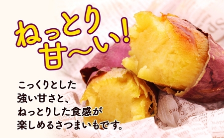 北海道 新しのつ産 さつまいも 紅はるか 計2kg サツマイモ 薩摩芋 芋 甘い ねっとり ホクホク 農作物 旬 採れたて 野菜 スイーツ おやつ お取り寄せ ご褒美 JA新しのつ 送料無料