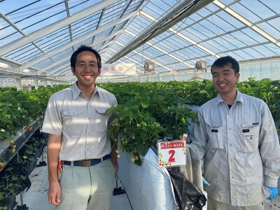アールス系メロン”雅”(みやび) 2玉 ※2025年7月上旬～7月中旬頃に順次発送予定 ※北海道・沖縄・離島への配送不可 _CB16