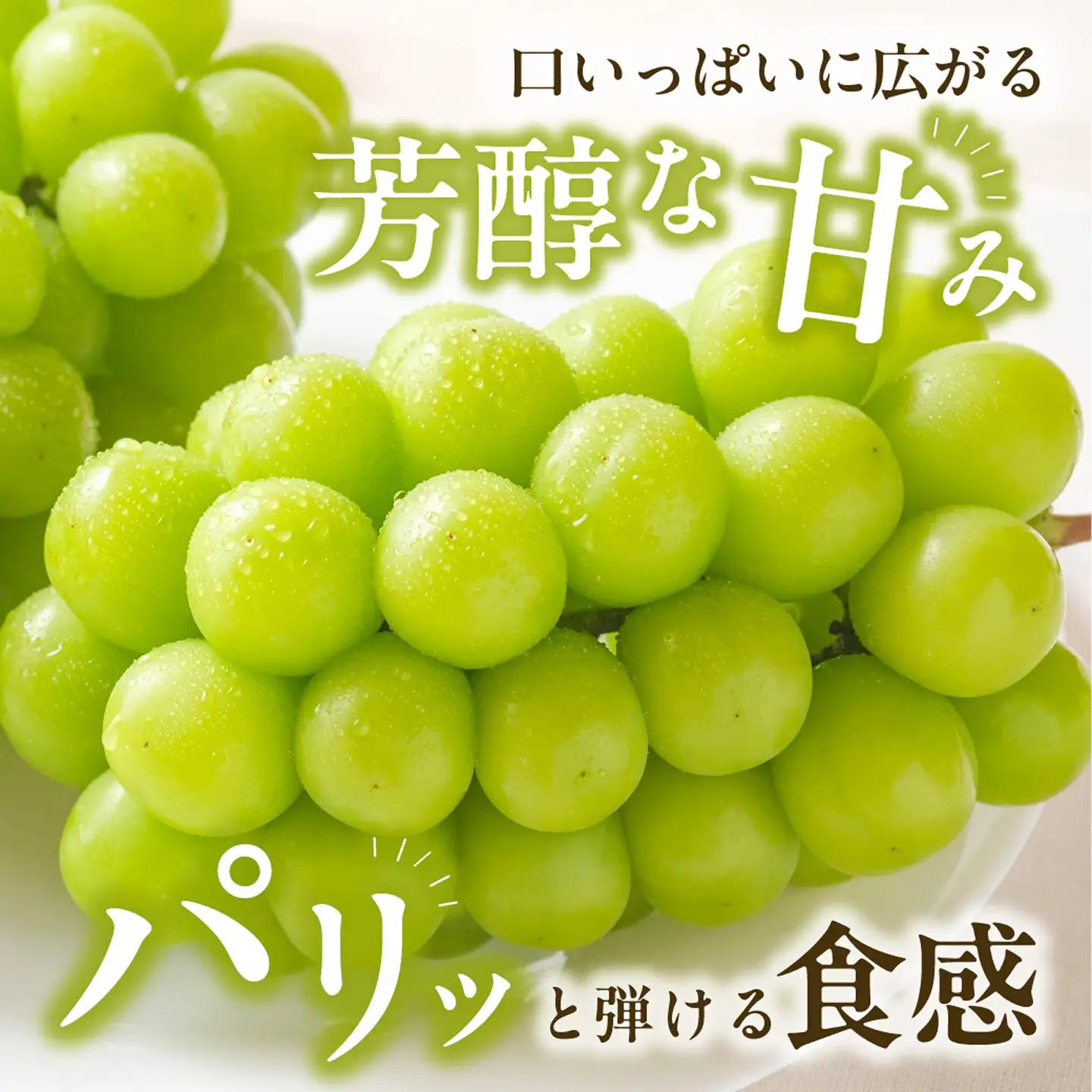 【2026年発送分　先行受付開始！】びぜん葡萄「シャインマスカット」（露地栽培）1房入（令和8年9月上旬～10月下旬頃発送）【葡萄 シャインマスカット】