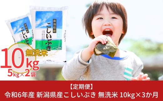 [定期便10kg×3ヶ月] 令和6年産 無洗米 新潟県産こしいぶき 10kg 3か月（3ヵ月）連続でお届け [株式会社白熊]【034S004】