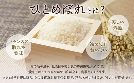 新米　いなわしろひとめぼれ( 精米 ) 5kg お米 白米 福島 やわらかい 和食