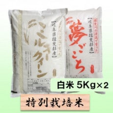 【令和6年産】特別栽培米 10kg【白米】(ミルキークイーン/夢ごこち)