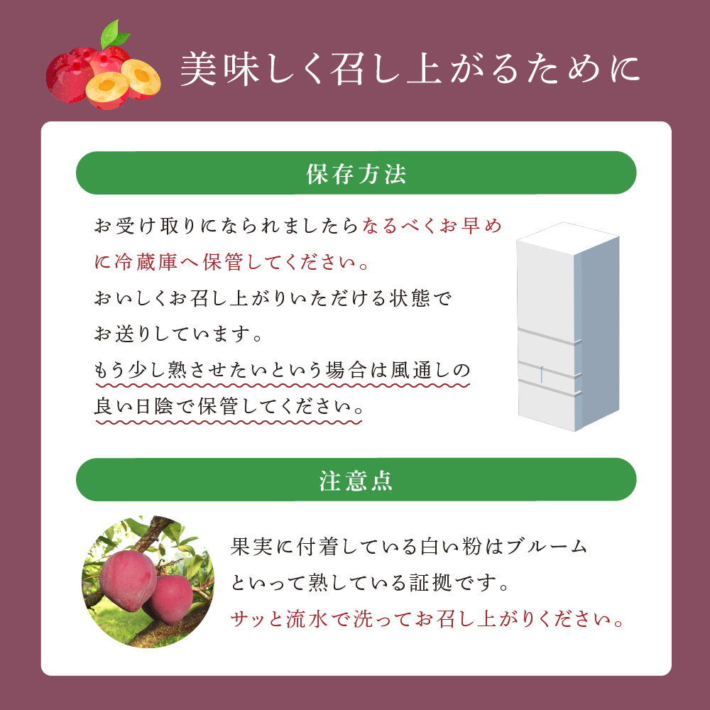 【 先行受付 】 プラム 恋花火 1kg フルーツ 果物 くだもの 旬のフルーツ 旬の果物 季節のフルーツ 季節の果物 北海道 芦別市