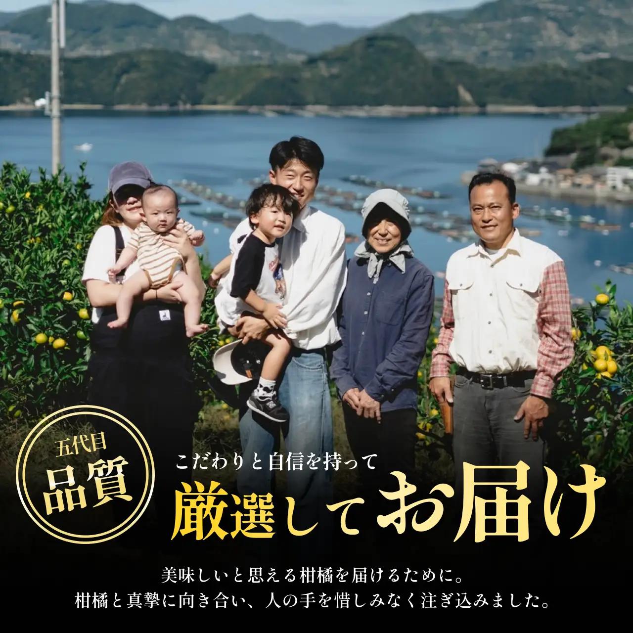 【発送月固定定期便】愛媛の美味しい柑橘 人気6品種 まどんな・甘平・せとか等【H70-41】全6回【4055158】 YWTK041