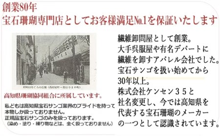 室戸市産　血赤珊瑚特大枝の根付ストラップ　桐箱入り _kn021