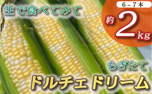 【2026年6月～7月中旬順次発送予定】 とうもろこし もぎたて ドルチェドリーム 約 2kg 6本~7本 セット トウモロコシ コーン 美味しい おいしい 茹でとうもろこし 焼きとうもろこし スープ 野菜 やさい バーベキュー BBQ 産地直送 新鮮 生鮮 食品 おすすめ 国産 甘い 農家直送 夏野菜 産直 キャンプ 家庭用 とうきび トウキビ 朝採り 朝採れ 静岡県 牧之原市 タイラファーム