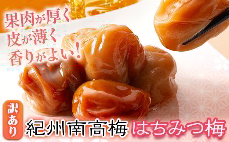 
            南高梅 はちみつ 梅 わけあり 紀州南高梅 はちみつ梅 有限会社プラム《30日以内に出荷予定(土日祝除く)》和歌山県 日高町 送料無料 梅 うめ ウメ 南高梅 蜂蜜 紀州 訳あり 送料無料
          