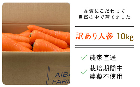 【12月～2月発送】【栽培期間中農薬不使用】訳あり人参１０㎏ AIBA FARM Ｂ品 / 野菜 やさい にんじん 人参 ニンジン 名産 特産 甘い 美味しい 訳あり 不揃い B級 健康 ヘルシー フ