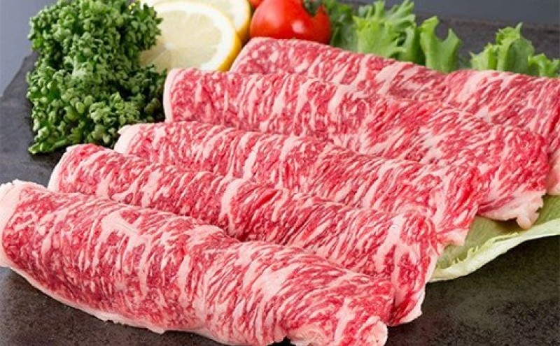 定期便 隔月 奇数月 年6回 佐賀牛 「おためし6回」コース  2ヶ月に1回届く定期便！！ 佐賀牛 牛肉 ※配送不可：北海道・沖縄・離島