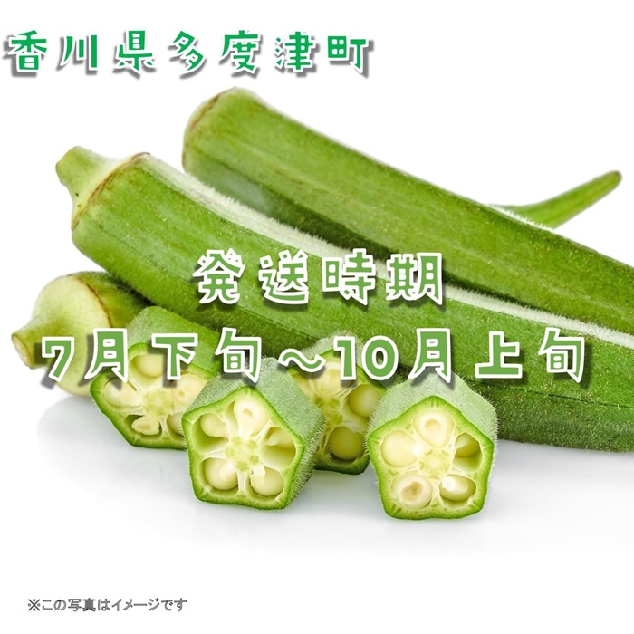 オクラ約3kgバラ詰め（わけあり）【A-145】