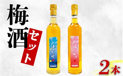 梅酒 セット 純情梅酒 ほたるの宿 飲み比べ 500ml 計2本 梅 うめ 3年 熟成 月世界 果物 フルーツ うめしゅ お酒 酒  果実酒 さけ ビール ハイボール チューハイ 焼酎 日本酒 ウイスキー ワイン ギフト 贈答 プレゼント 送料無料 徳島県 吉野川市