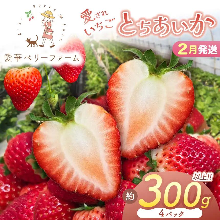 2027年先行予約【2月発送】いちご王国の愛され苺 とちあいか 300ｇ以上4パック（平パック）