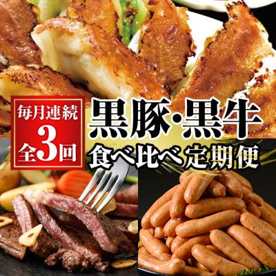 ふるさと納税 いちき串木野市 【3か月定期便】鹿児島黒豚(餃子とウインナー) と 鹿児島黒牛(ステーキ) の 食べ比べ 定期便