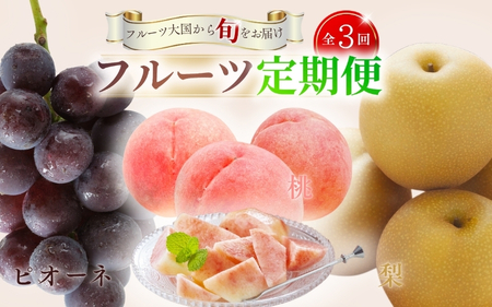 定期便【全3回/7・8・9月】和歌山の旬のフルーツ定期便！人気の桃・ピオーネ・梨をお届け♪【tkb306】