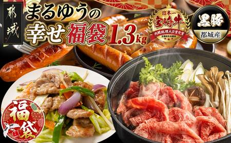 宮崎牛と黒豚+ポークソーセージの詰め合わせセット_AC-N4-001_(都城市) 宮崎県産 都城産 宮崎牛 牛肉 黒毛和牛 ロース 赤身 黒豚 ウデ/モモ 切り落とし ソーセージ