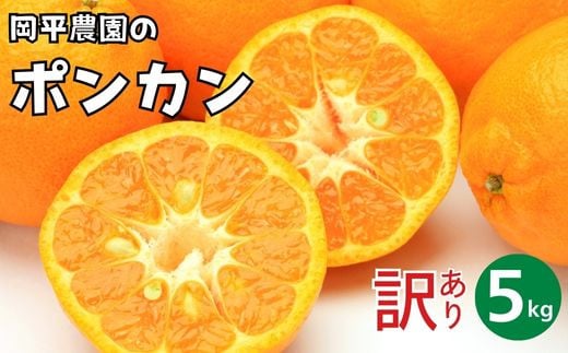 
            訳あり ポンカン 5kg 7,000円 ぽんかん フルーツ 果物 柑橘 みかん mikan 愛媛みかん ポンカンジュース 甘い 濃厚 国産 健康 ビタミン 美容 健康 サイズミックス 人気 おすすめ 農家直送 産地直送 農家 温州みかん 冬 こたつ 家族 数量限定 愛媛 愛媛県 愛南町 岡平農園 発送期間: 2025年1月中旬～2月末まで(なくなり次第終了)
          