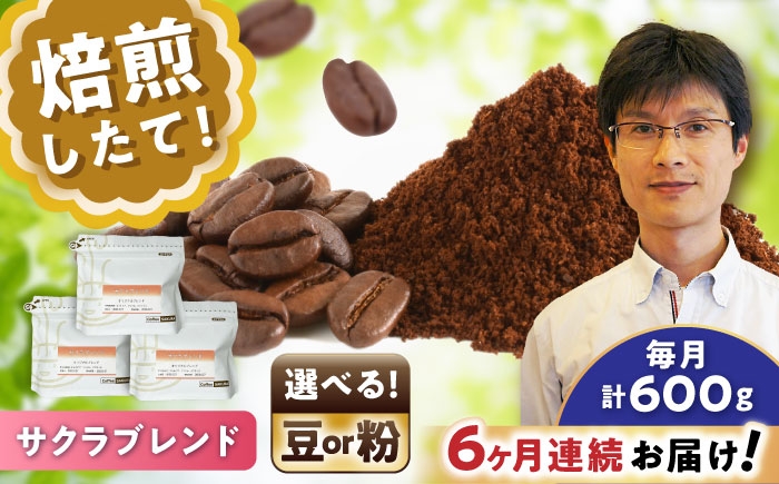 
            【全6回定期便】【選べる豆 or 粉]】ブレンドコーヒー サクラブレンド 200g×3個 / 珈琲 コーヒー / 瀬戸市 / Ｃｏｆｆｅｅ　ＳＡＫＵＲＡ [BBAB112]
          